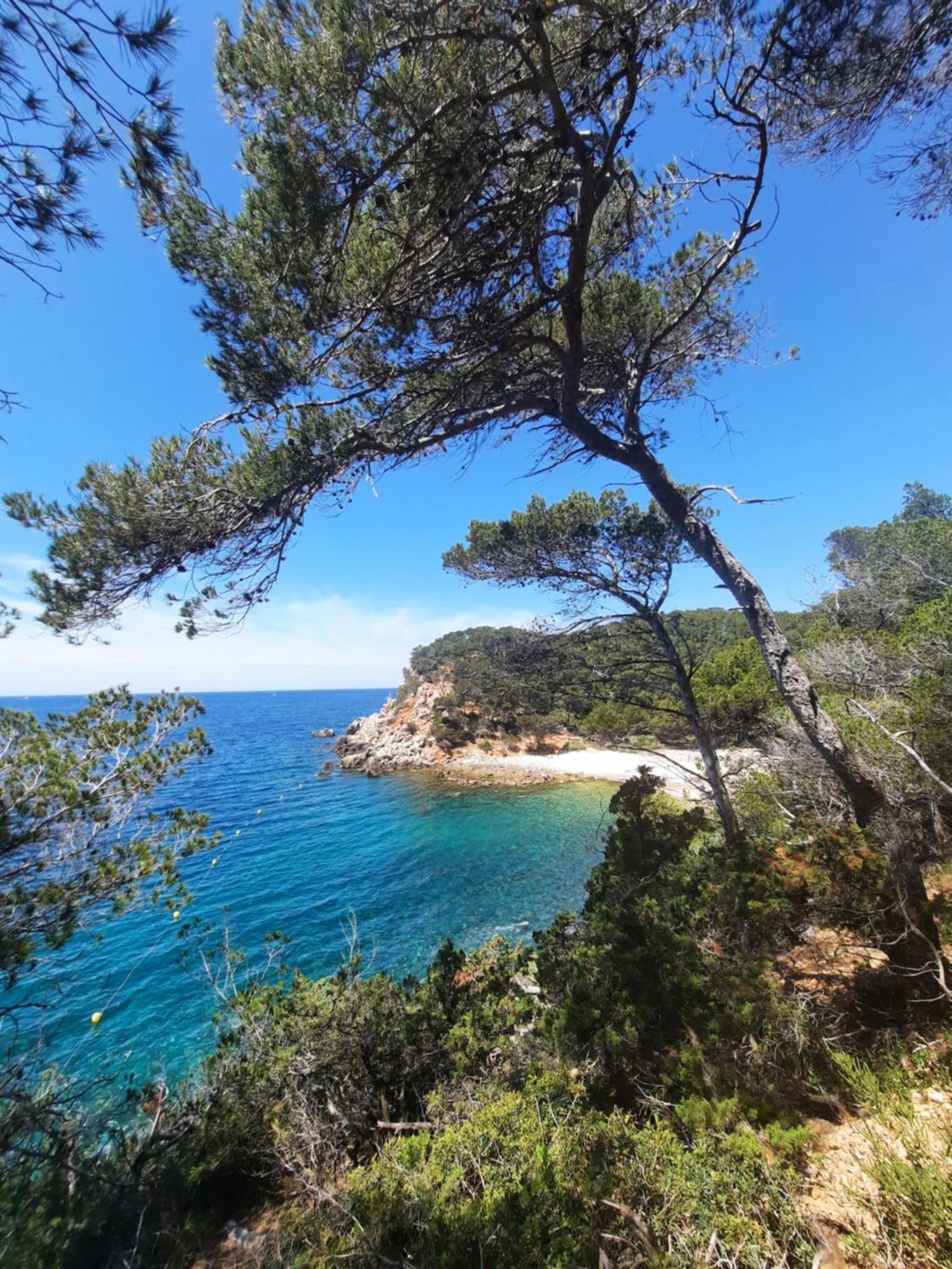 Maison Independante Avec Piscine Privative Pres De La Mer La Garde  Eksteriør bilde